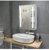 LED Mirror Cabinet Wall Mounted Storage Bathroom Cupboard Demister Sensor Switch