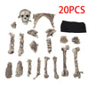 Halloween Decoration Skeleton Skull Bones Haunted Houses Party Scary Ornament UK