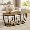2-Tier Oval Coffee Table Industrial Wooden Center Cocktail Table for Living Room