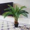 Palm Tree Artificial Cycas 80cm Realistic Leaf Design
