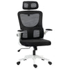 Vinsetto Mesh Office Chair with Adjustable Headrest, Lumbar Support, Black