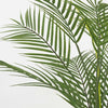 Blooming Artificial - 65cm Faux Palm Tree - Indoor Exotic Fake Plant Home Decor