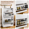 2 Drawer Shoe Cabinet with Shelf Slim Space-Saving Storage,White for 10+ Pairs
