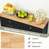Black Modern sleek Kitchen Tilt Out Trash Cabinet with 70L Hidden Garbage Holder