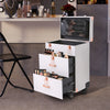 Professional Makeup Case Trolley Large Storage Cosmetic Vanity Trolley on Wheels