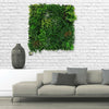 Artificial Living Wall Spring Hedge Plant Panel In / Outdoor UV Stable 100x100cm