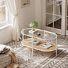 2 Tier Oval Rattan Coffee Table with Glass Top and Storage Shelf, Metal Frame