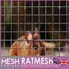 The Mesh Company Galvanised Rat Mesh Roll | Rodent Proofing Welded RatMesh Roll