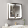 Wall Mounted LED Bathroom Mirror Cabinet with Shaver Socket Storage Cupboard