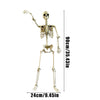 Halloween Poseable Skeleton Full Life Size Human Skeleton Decoration Prop