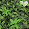 Artificial Plant Wall Mat Greenery Hedge Grass Fence Privacy Foliage Panel Decor
