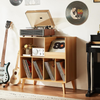 Large Record Stand with Storage, Record Player Stand with Shelf, Vinyl Record Ho