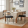 Dining Chairs Set of 4, with Rattan Backrest, Padded Seat & Metal Legs, Black
