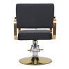 Barber Chair Beauty Salon Hair Styling Hairdressing Hairdresser Makeup Chair NEW