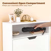 2 Drawer Shoe Cabinet with Shelf Slim Space-Saving Storage,White for 10+ Pairs