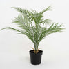 Blooming Artificial - 65cm Faux Palm Tree - Indoor Exotic Fake Plant Home Decor