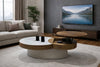 coffee table with storage lift top up living room, home modern contemporary