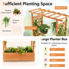 Raised Garden Bed with Arch Trellis