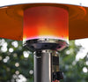 Outdoor Patio Heater By Bighorn Propane Gas Outdoor Heater Standing Wheels 8.8KW