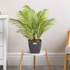 Artificial Areca Palm Tree Natural Looking Faux Plant in Pot 2ft 3ft 4ft 5ft 6ft