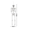 165cm Halloween Skeleton Life Size Prop Poseable Human Giant Bones Decor Model