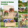 Indoor Outdoor Freestanding Privacy Screen Raised Garden Bed w/ Trellis