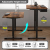 Height Adjustable Electric Standing Desk with Desk Drawer