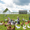 Metal Walk In Chicken Run Galvanized Poultry Hen Cage Coop w/ Cover 3 x 1 x 1.5m