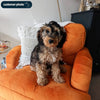 Orange Velvet Armchair with Saddle Arms Wood Legs Foam Filled Traditional