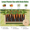 Indoor Outdoor Freestanding Privacy Screen Raised Garden Bed w/ Trellis