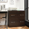 2-Drawer File Cabinet Vertical Freestanding Lockable Storage Cabinet organizer