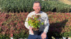 Fruit Tree, Stella Cherry, Self-Fertile Heavy Cropper, 90?110cm, 5L Potted Plant