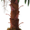 Ex-Large Faux Palm Tree Fake Artificial Green Plant Realistic Tree Garden 100cm