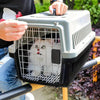 Large Portable Dog/ Cat Carrier Box Puppy Pet Transporter Cage Vet Travel Crate