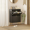 Slim Shoe Storage Cabinet with 2 Flip Drawers for Hallway, Black