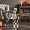 Halloween Poseable Skeleton Full Life Size Human Skeleton Decoration Prop