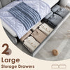 Velvet Daybed With 2 Drawers, 3ft Single Sofa Bed For Partment, Grey, 90x190cm