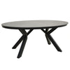 6 Seater Black Garden Wicker Dining Set with Sintered Stone Oval Table FTR247