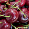 Fruit Tree, Stella Cherry, Self-Fertile Heavy Cropper, 90?110cm, 5L Potted Plant