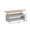 Grey Coffee Modern Table Storage Lift Top Up Drawer Shelf Living Room Furniture