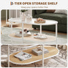 2 Tier Oval Rattan Coffee Table with Glass Top and Storage Shelf, Metal Frame