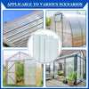 4mm Clear Twinwall Greenhouse Polycarbonate Sheet | 1220mm x 610mm (48" x 24")