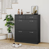 Slim Shoe Cabinet with 2 Flip Drawers for 12 Pairs of Shoes Black
