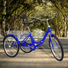 With Basket Blue UK 24 Inch Adult Trike Tricycle Foldable 3 Wheel Bike 7-Speed