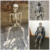 160cm Giant Poseable Human Skeleton Prop Halloween Party Indoor/Outdoor Decor UK