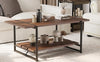 Metal Frame Center Table 2-Tier Farmhouse 41'' Large Coffee Table with Storage