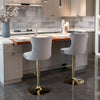 Velvet Swivel Bar Stools Set of 2 Swivel Kitchen Barstools Bar Chairs Grey Black