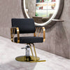 Barber Chair Beauty Salon Hair Styling Hairdressing Hairdresser Makeup Chair NEW