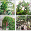 Metal Decorative Garden Arch with Ground Spikes Climbing Plant Support Trellis