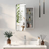 Metal Framed Bathroom Mirror Cabinet Wall Mounted Bathroom Mirror with Storage